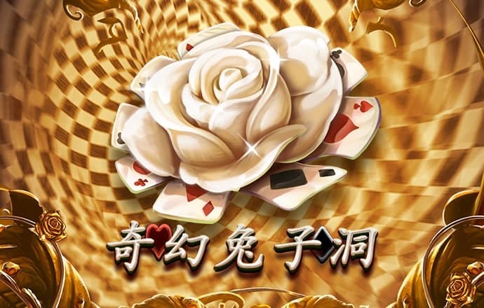 NG电子游戏娱乐